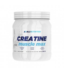 Allnutrition Creatine Muscle Max - kreatyna 500 g