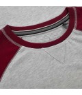 Koszulka Pit Bull Reglan Small Logo kolor szaro bordowy