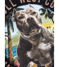 Koszulka Pit Bull West Coast model Beach Boy