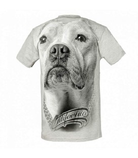 Koszulka Pit Bull West Coast model California Dog 17 szara melanż