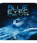 Bluza Pit Bull model BLUE EYED DEVIL X granatowa